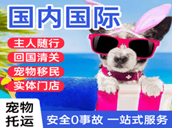 阜阳机场快运国际宠物托运 【国